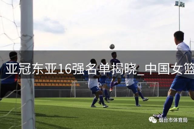 亚冠东亚16强名单揭晓 中国女篮迎战尼日利亚关键战