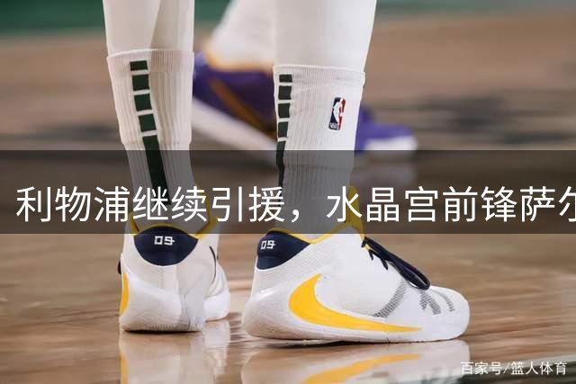 利物浦继续引援，水晶宫前锋萨尔成新目标