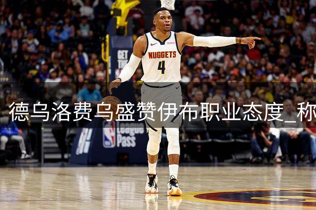 德乌洛费乌盛赞伊布职业态度 称其为年轻球员楷模